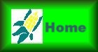 Go to my home page.